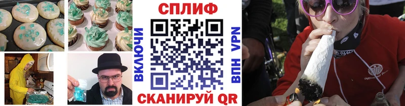 Cannafood конопля  Стародуб 