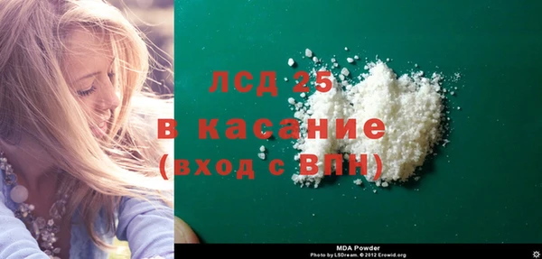 стаф Аркадак