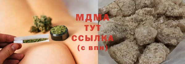 стаф Аркадак