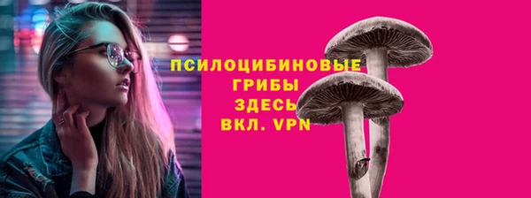 соль ск Покровск