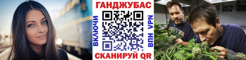 Канабис индика  Стародуб 